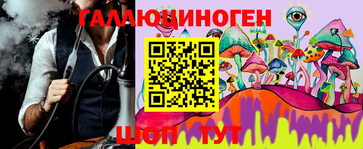 Псилоцибиновые грибы Cubensis  Вход с VPN  Казань 
